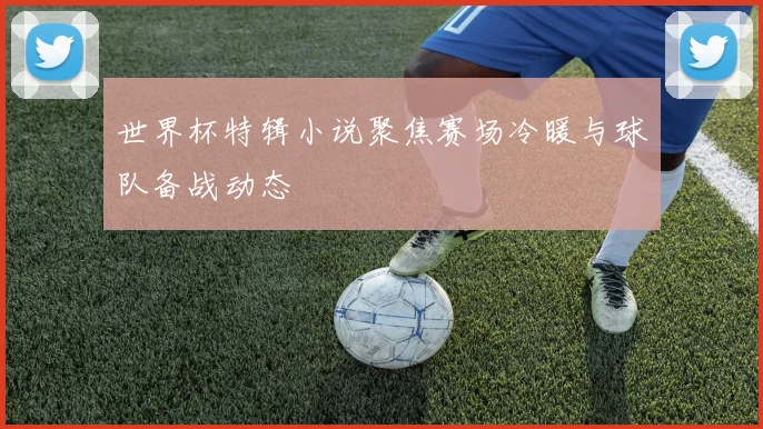 世界杯特辑小说聚焦赛场冷暖与球队备战动态